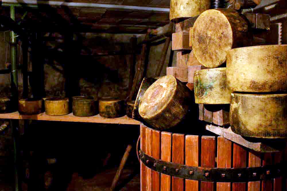 Pecorino di Norcia in the Cellar