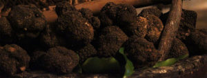 Tartufo nero di Norcia