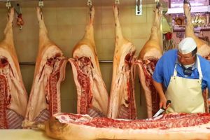 Maiali Norcia Ansuini