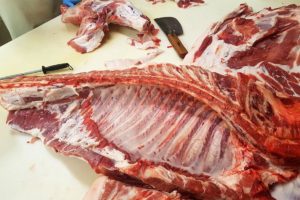 Maiali Norcia Ansuini