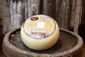 caciotta norcia caciotta mucca