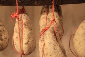 coglioni di mulo 105