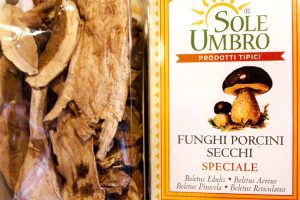 funghi secchi