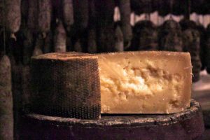 mezza forma pecorino 1 1