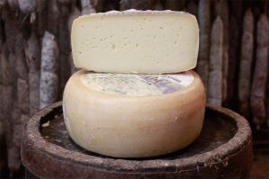 pecorino cascia pecorino pastore 1