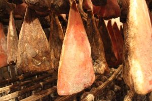 trancio di guanciale 550 1