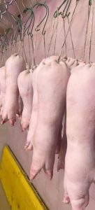 FB IMG 1703098527699